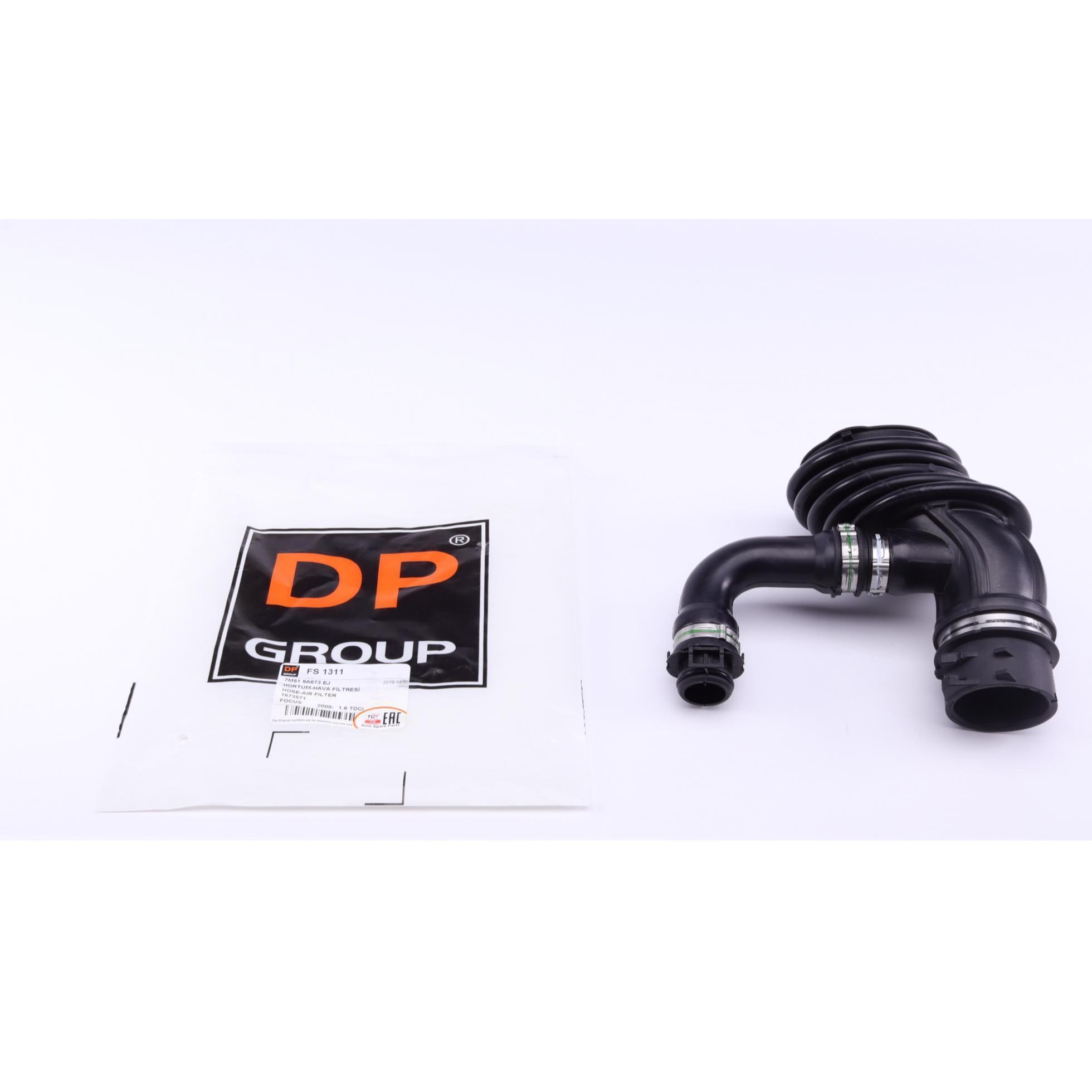 FS1311 DP GROUP